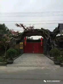 鶴壁景觀古樹大門施工與工程技術(shù)咨詢服務(wù)
