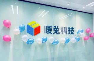 廈門暖兔科技前端工程師招聘 工程技術(shù)咨詢服務(wù)領(lǐng)域的挑戰(zhàn)與機遇
