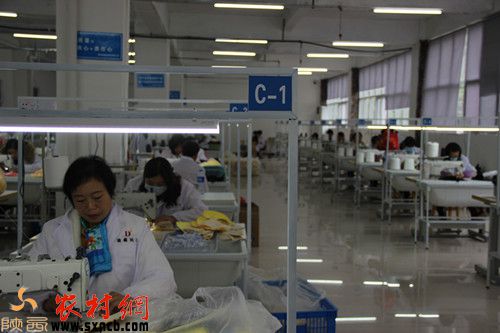 紫陽縣毛壩鎮再添新引擎 社區工廠興起 工程技術咨詢服務破繭而生