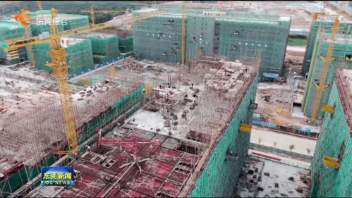 我市提前完成年度重大項目開工任務，累計新開工142個