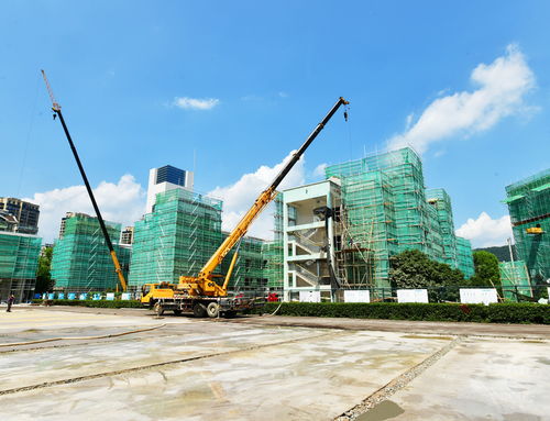 明珠小學改擴建工程有序推進，景觀工程為校園增添新氣象